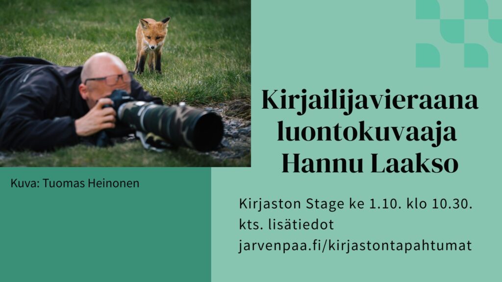 Kuvassa Hannu Laakso makaa vatsallaan maassa kamera kasvojensa edessä ja ottaa kuvaa jostakin kuvan ulkopuolelle jäävästä. Taustalla ketunpoikanen katselee Hannu Laakson toimintaa. Kuvan on ottanut Tuomas Heinonen.