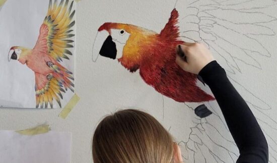 Nuori maalaamassa seinälle värikästä papukaijaa pienemmästä mallista.